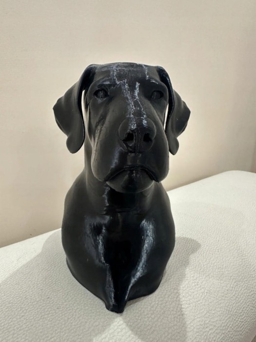 Designerska-Figura-Glowy-Wyzla-Szorstkowlosego-Druk-3D.jpg