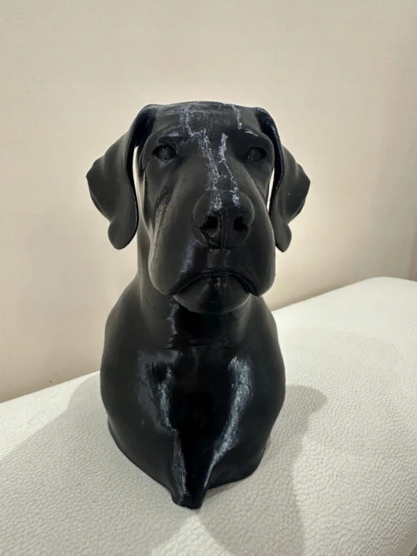 Designerska-Figura-Glowy-Wyzla-Szorstkowlosego-Druk-3D.jpg