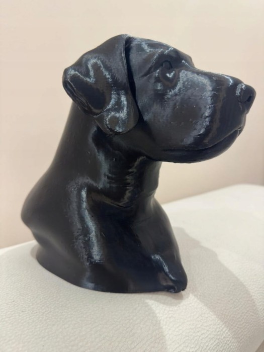 Designerska-Figura-Glowy-Wyzla-Szorstkowlosego-Druk-3D-Kod-producenta-inclus.jpg