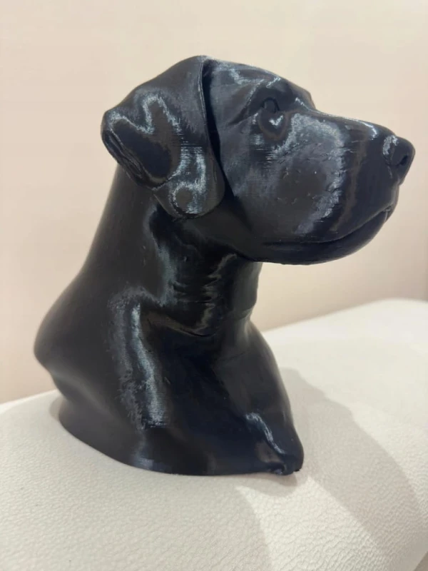 Designerska-Figura-Glowy-Wyzla-Szorstkowlosego-Druk-3D-Kod-producenta-inclus.jpg