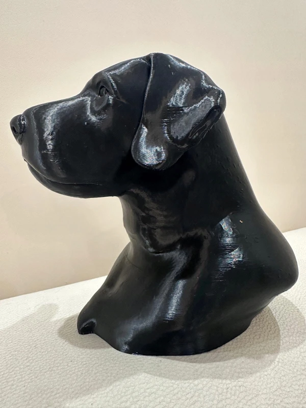 Designerska-Figura-Glowy-Wyzla-Szorstkowlosego-Druk-3D-Producent-nieznany-producent.jpg