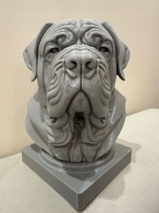 Potezny-MASTIF-NEAPOLITANSKI-Popiersie-Druk-3D-25cm.jpg