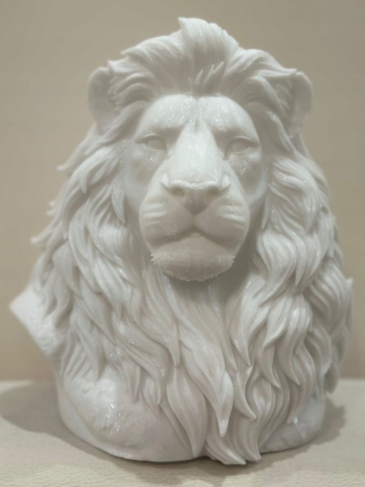Krolewski-Lew-Potega-i-Majestat-w-Twoim-Domu-Druk-3D.jpg